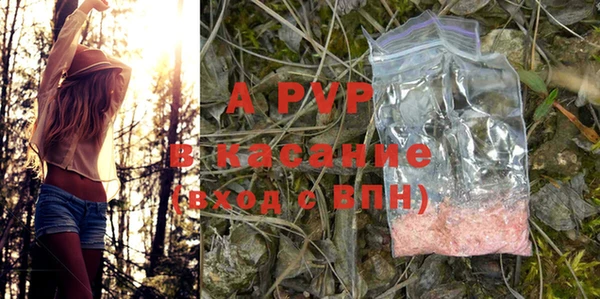 винт Алексин