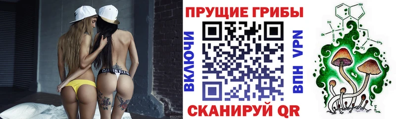 Галлюциногенные грибы Psilocybe  Кострома 